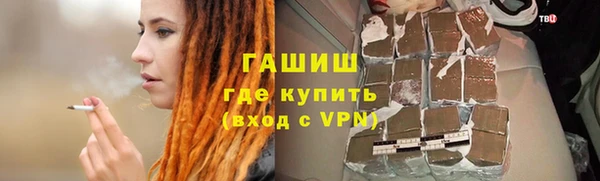 СК Инта