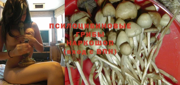 круглые Иннополис