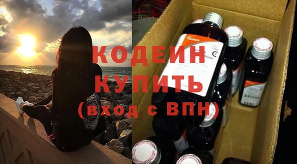 СК Инта