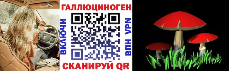 Купить где  Киреевск  Галлюциногенные грибы мухоморы 